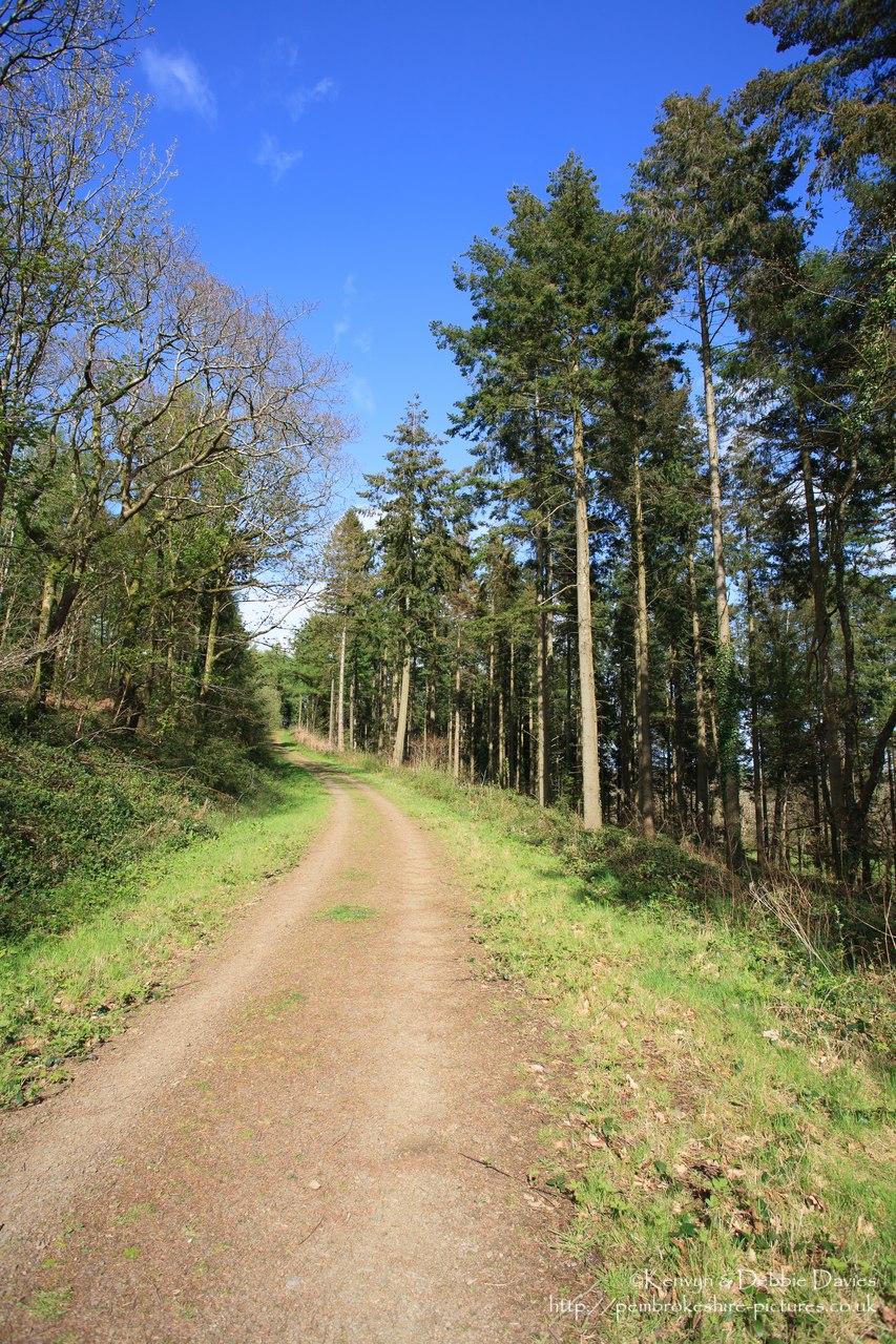 Blackpool Mill and surrounding area in Canaston Bridge