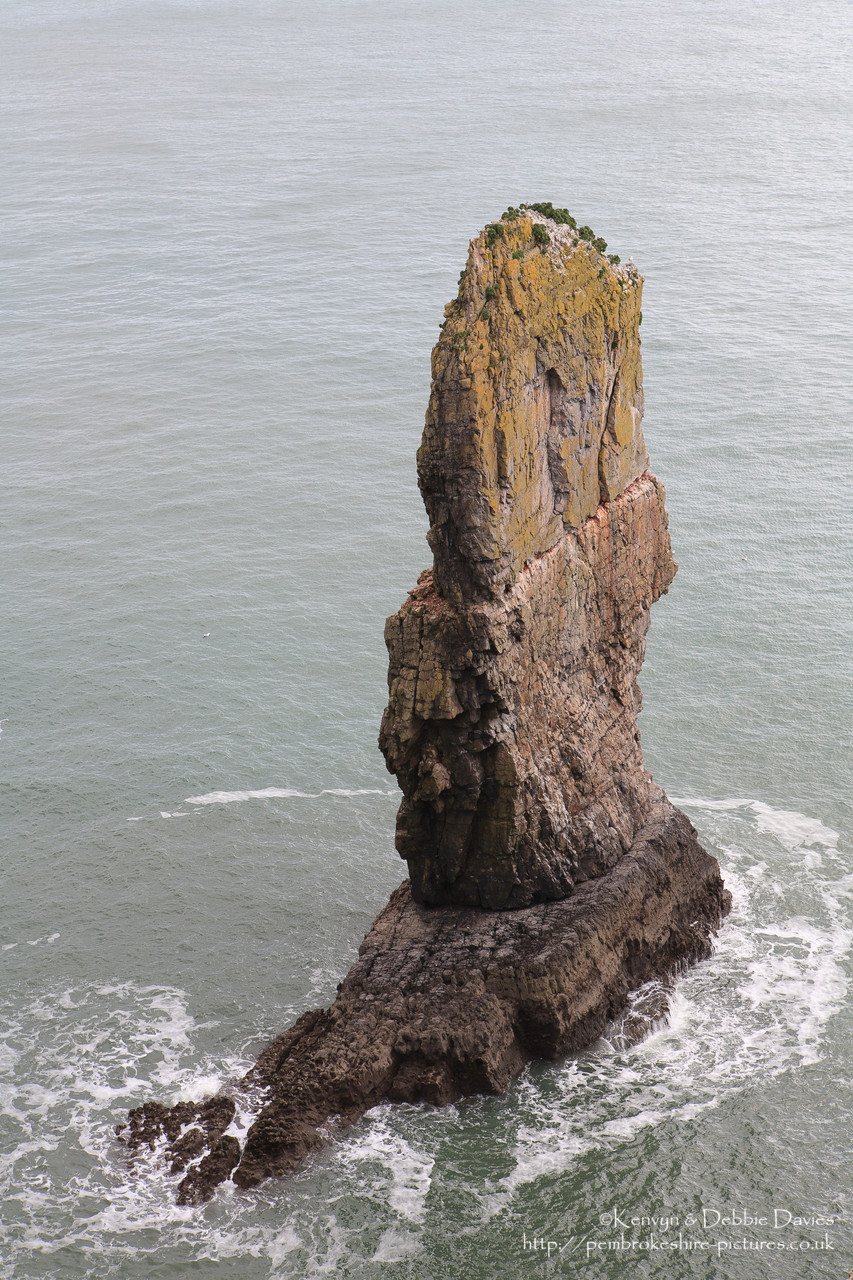 A highlight of the Pembrokeshire coastline, these stacks are home to thousands of guillemots, razorbills and kittiwakes during the breeding season.