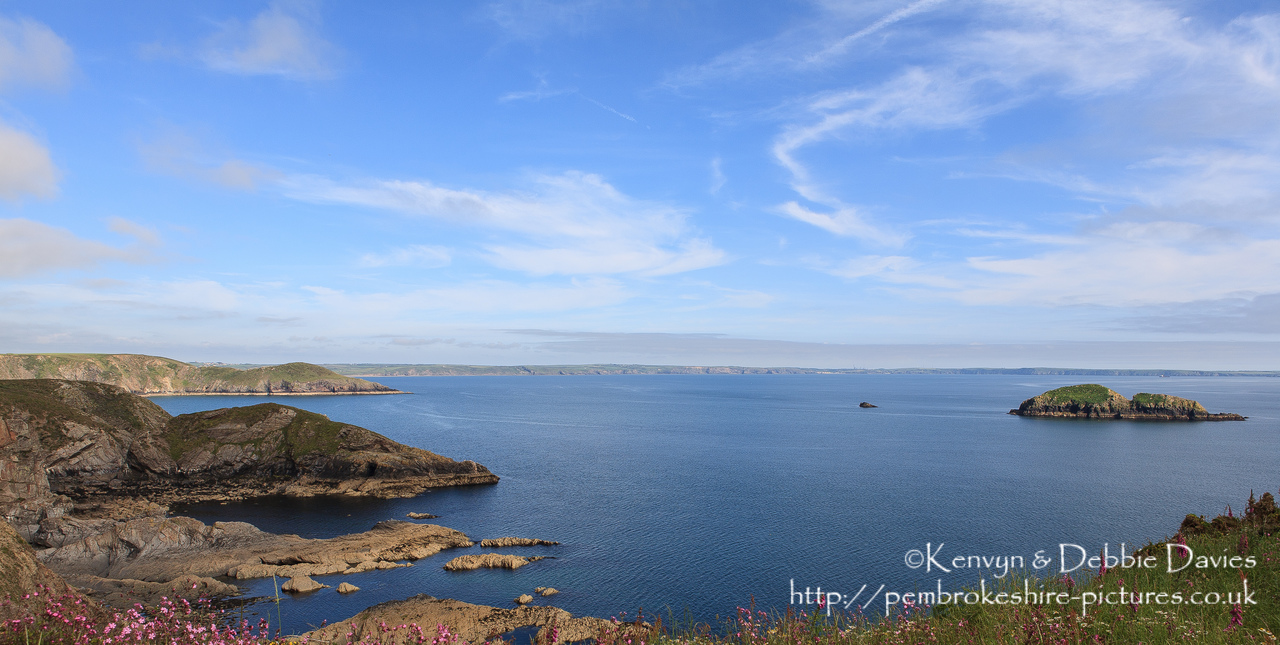 Solva in early summe
