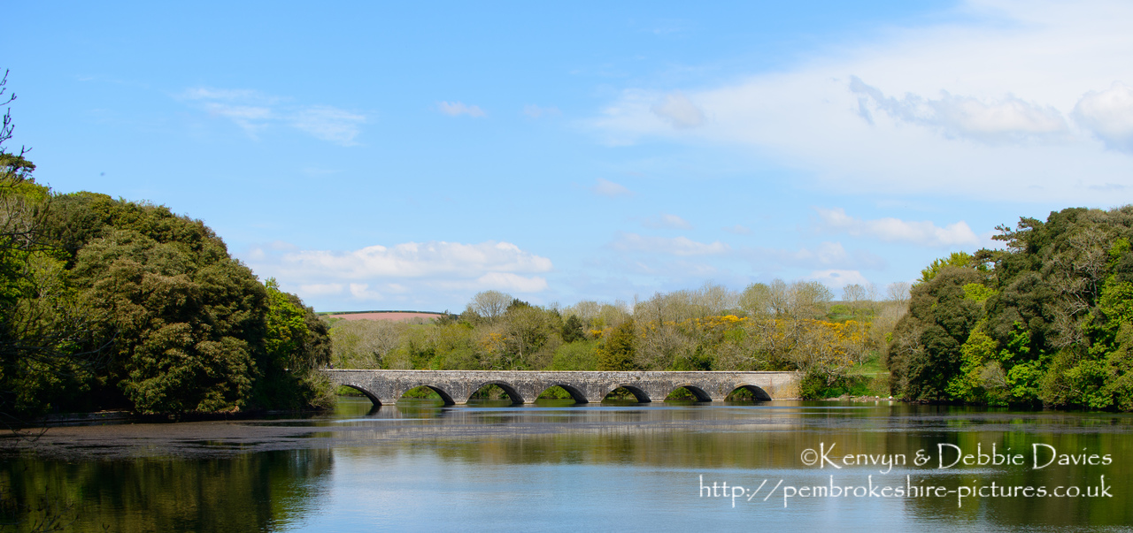The eight arch bridge at Stackpole Court was built in 1797 to connect the mansion and Home Farm to the New Deer Park and Stackpole Quay. It is built from limestone over a weir.