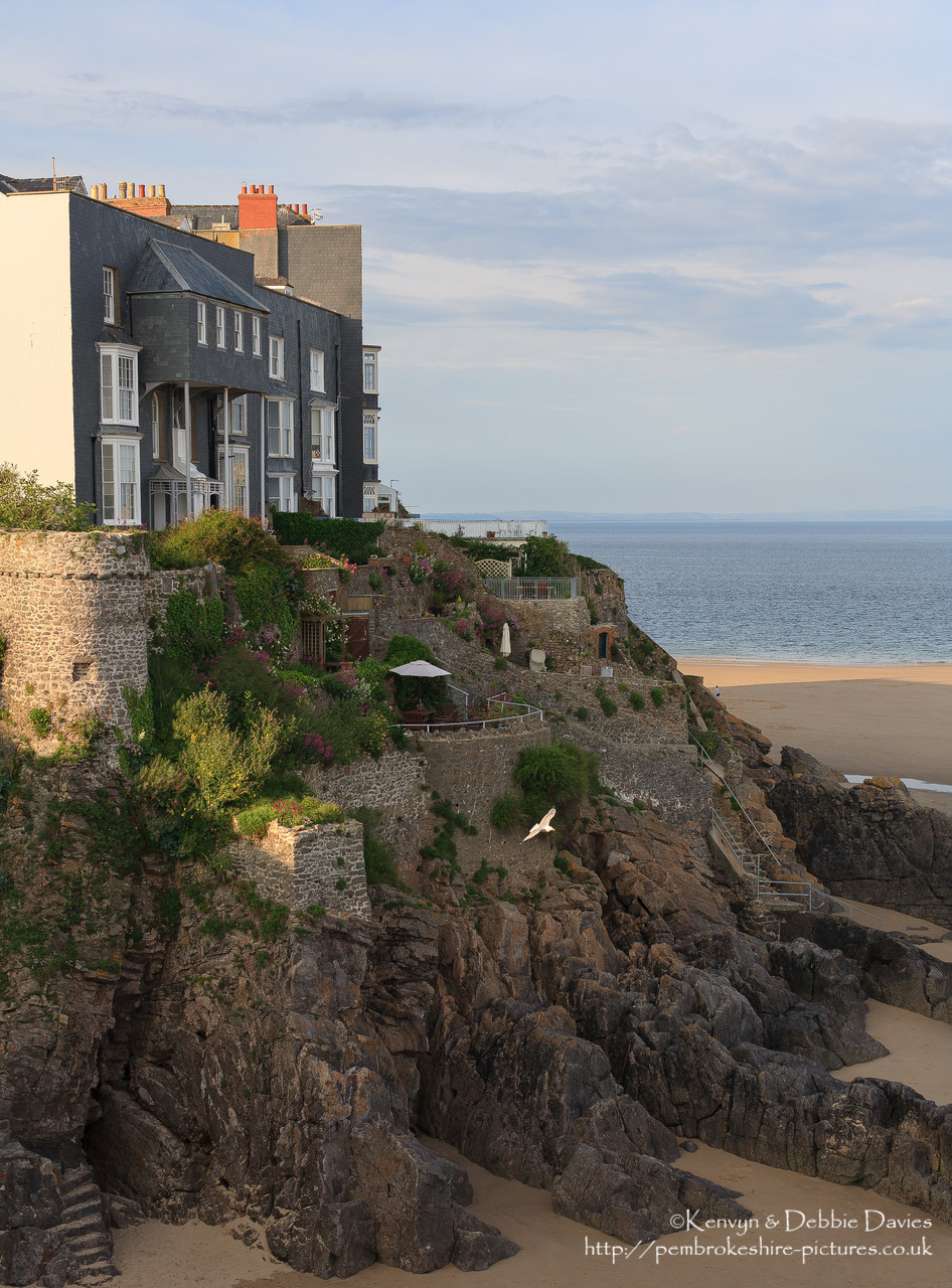 Graden on cliff in Tenby.