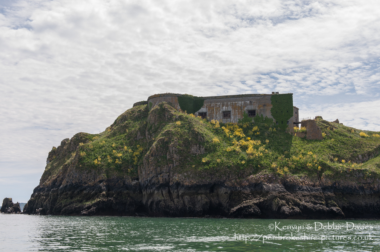 St. Catherine's Fort in Tenby was built in 1867 to prevent Tenby being used as a bridgehead for an attack on the port of Milford Haven. It is currently derellict but has acted as a fort, private dwelling and zoo!