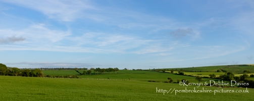 Landscape along the A487