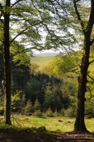 Penbwlchbodcoll in Mid Wales