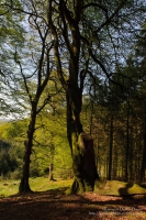 Penbwlchbodcoll in Mid Wales