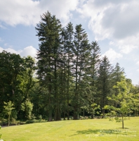 Aberglasney House and Gardens