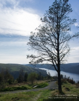 Llyn Brianne Resevoir