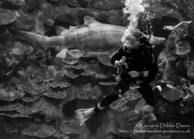 Blue Planet Aquarium, Chester