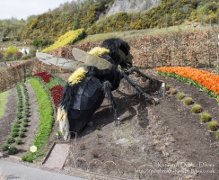 The Eden Project in Cornwall