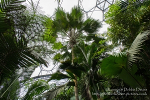 The Eden Project in Cornwall