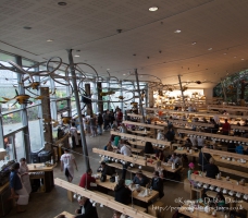 Completed in 2001, The Eden Project is a visitor attraction in Cornwall consisting of biomes containing plant from the Mediterranean ad Tropics.