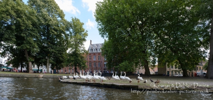 On the Canals of Bruges