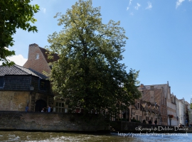 On the Canals of Bruges