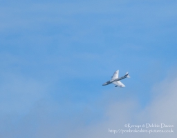 Hawker Hunter T.7 XL573 at Wales National Airshow 2015