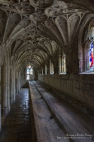 Gloucester Cathedral, 2012