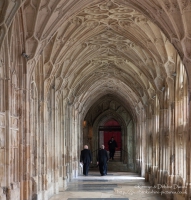 Gloucester Cathedral, 2012