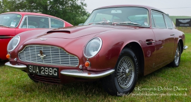 Carfest 2013