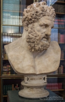 Bust of Hercules at The British Museum