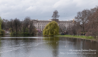 Buckingham Palace from St. James's Park Lake