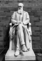 Charles Darwin at The Natural History Museum in London