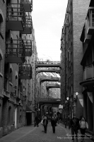 Looking down Shad Thames, London