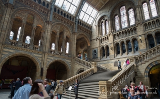 Natural History Museum, London