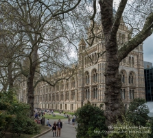 The Natural History Museum, London