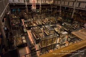 Pitt Rivers Museum