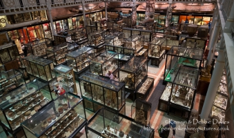 Pitt Rivers Museum, Oxford