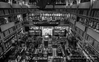 Pitt Rivers