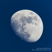 Blue Moon