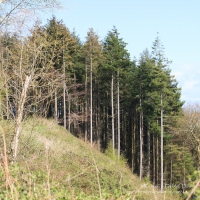 Walk along Cleddau River