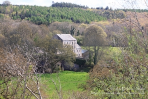 Walk along Cleddau River and surrounding area in Canaston Bridge
