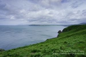 Dinas Head