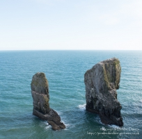 Elegug Stacks, Castlemartin, Pembrokeshire