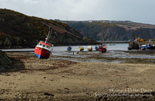 Lower Fishguard Harbour, 2004