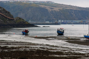 Lower Fishguard on a bleak April evening