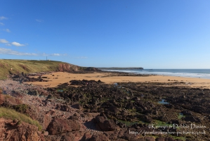 Freshwater West, Pembrokeshire