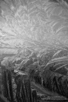 A Touch of Frost