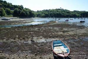 Lower Fishguard