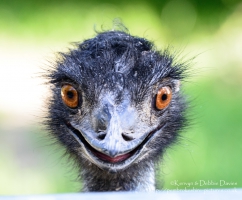 Happy to see me?