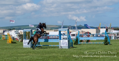 Pembrokeshire County Show 2005