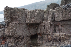 Pembrokshire's coast is world famous in geological circles for it's rock format...