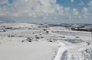 From Plumbstone Mountain