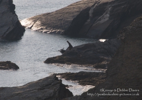 Solva, Pembrokeshire