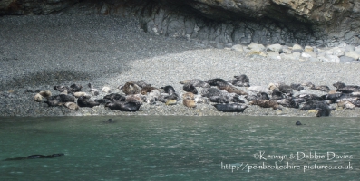 St. Justinians Boat Trip