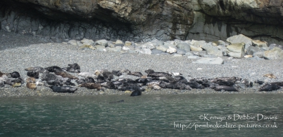 St. Justinians Boat Trip