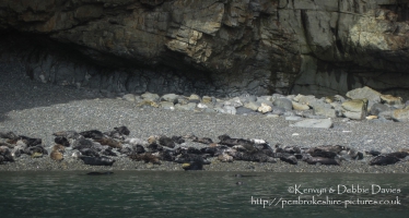 St. Justinians Boat Trip