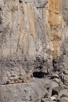 Sea Cliff Climbing at St. Govan's Head, Castlemartin, Pembrokeshire