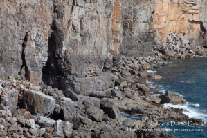 St. Govan's Head, Castlemartin, Pembrokeshire